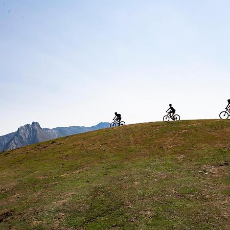 Apartamentos Los Picos De Europa Colio ภายนอก รูปภาพ