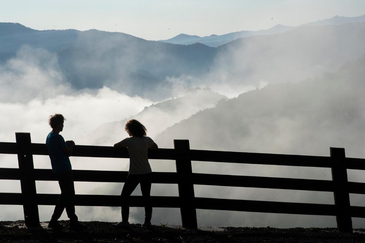 Apartamentos Los Picos De Europa Colio ภายนอก รูปภาพ