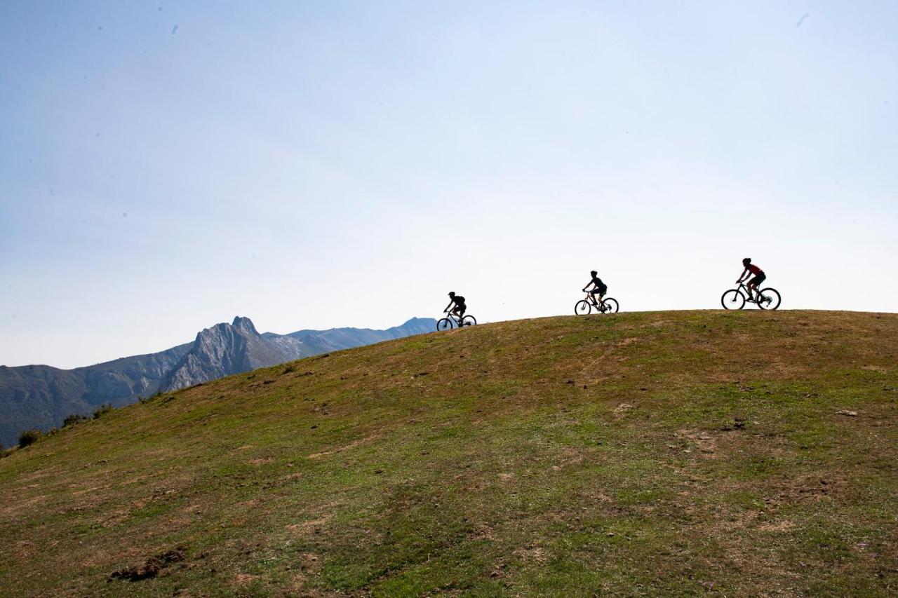 Apartamentos Los Picos De Europa Colio ภายนอก รูปภาพ