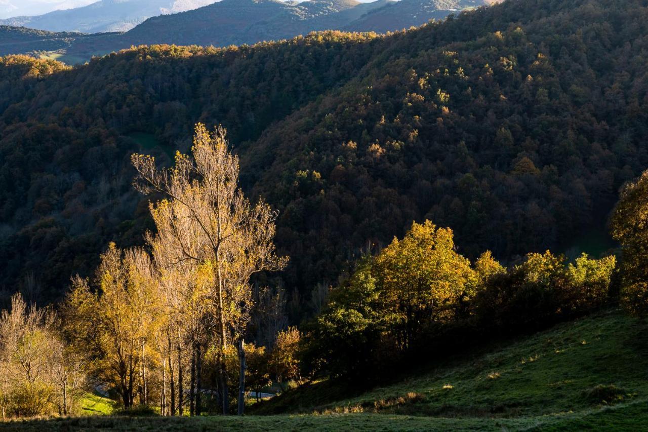 Apartamentos Los Picos De Europa Colio ภายนอก รูปภาพ