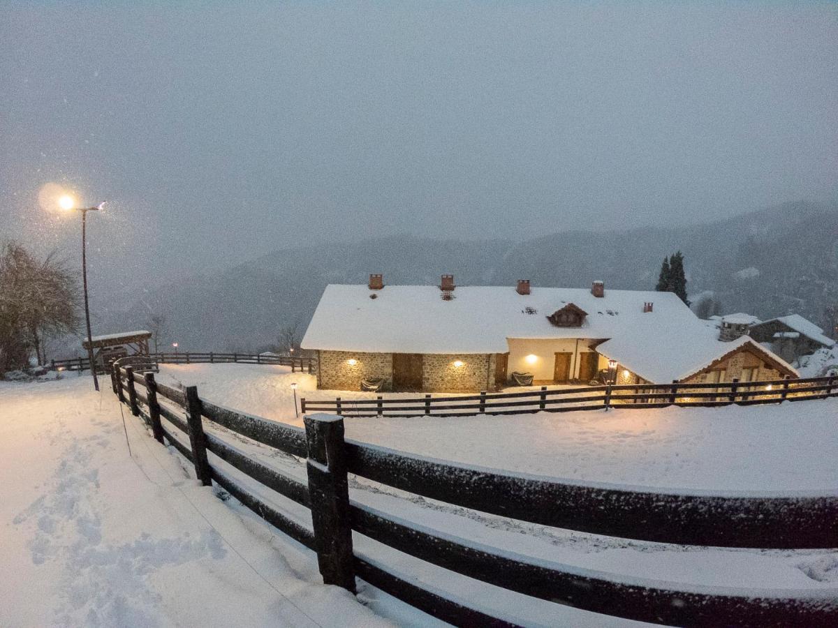 Apartamentos Los Picos De Europa Colio ภายนอก รูปภาพ
